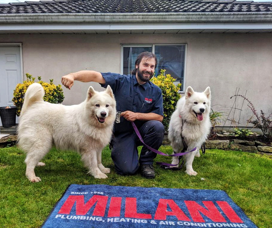 Milani Plumbing, Heating & Air Conditioning | 3433 E 25th Ave, Vancouver, BC V5R 1J9, Canada | Phone: (604) 737-2603