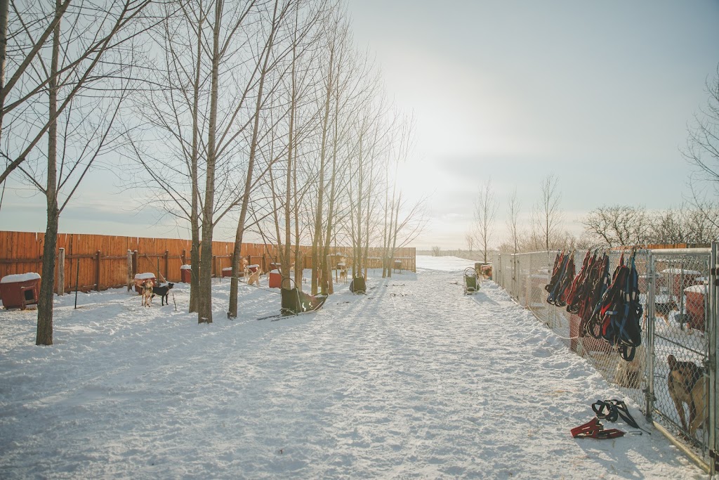 Les Aventures Liguoriennes | 179 5e Rang, Saint-Liguori, QC J0K 2X0, Canada | Phone: (450) 834-1387