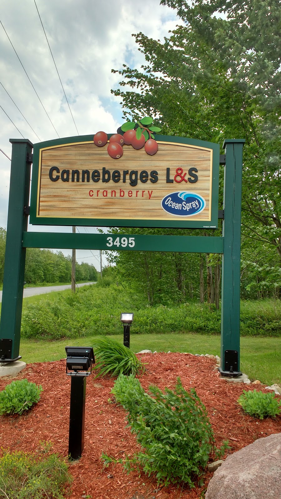 L&S Cranberry L.P | 3495 4e Rang, Saint-Lucien, QC J0C 1N0, Canada | Phone: (819) 397-4531