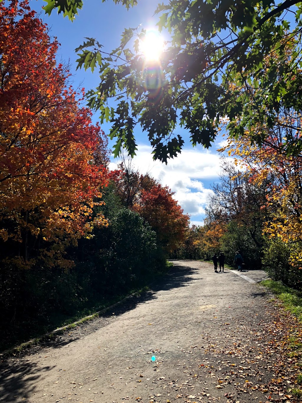 Mount Royal Summit | Ville-Marie, Montreal, QC H2W 1S8, Canada