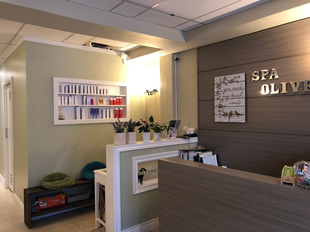 Spa Olive | 21 Drewry Ave, Toronto, ON M2M 1C9, Canada | Phone: (416) 225-0304