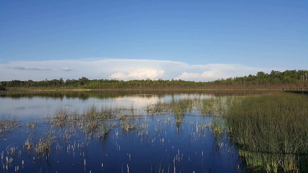 Clifford E. Lee Nature Sanctuary | Spruce Grove, AB T7Y, Canada