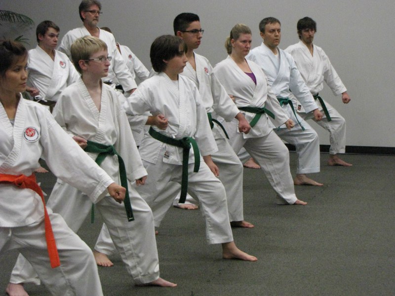 Ridge Meadows Shotokan Karate | 11601 Laity St, Maple Ridge, BC V2X 5A2, Canada | Phone: (778) 999-9732