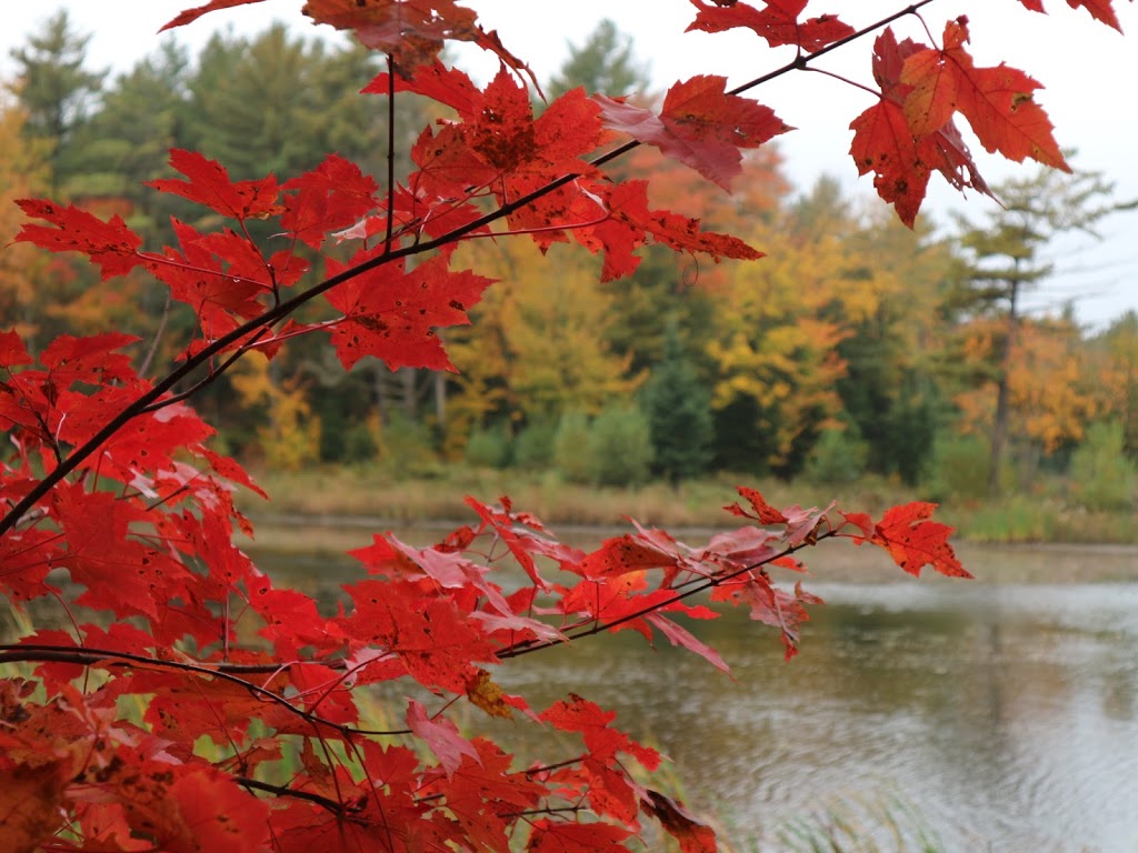 Lac Jérôme Natural Park | Saint-Jérôme, QC J7Y 5H4, Canada