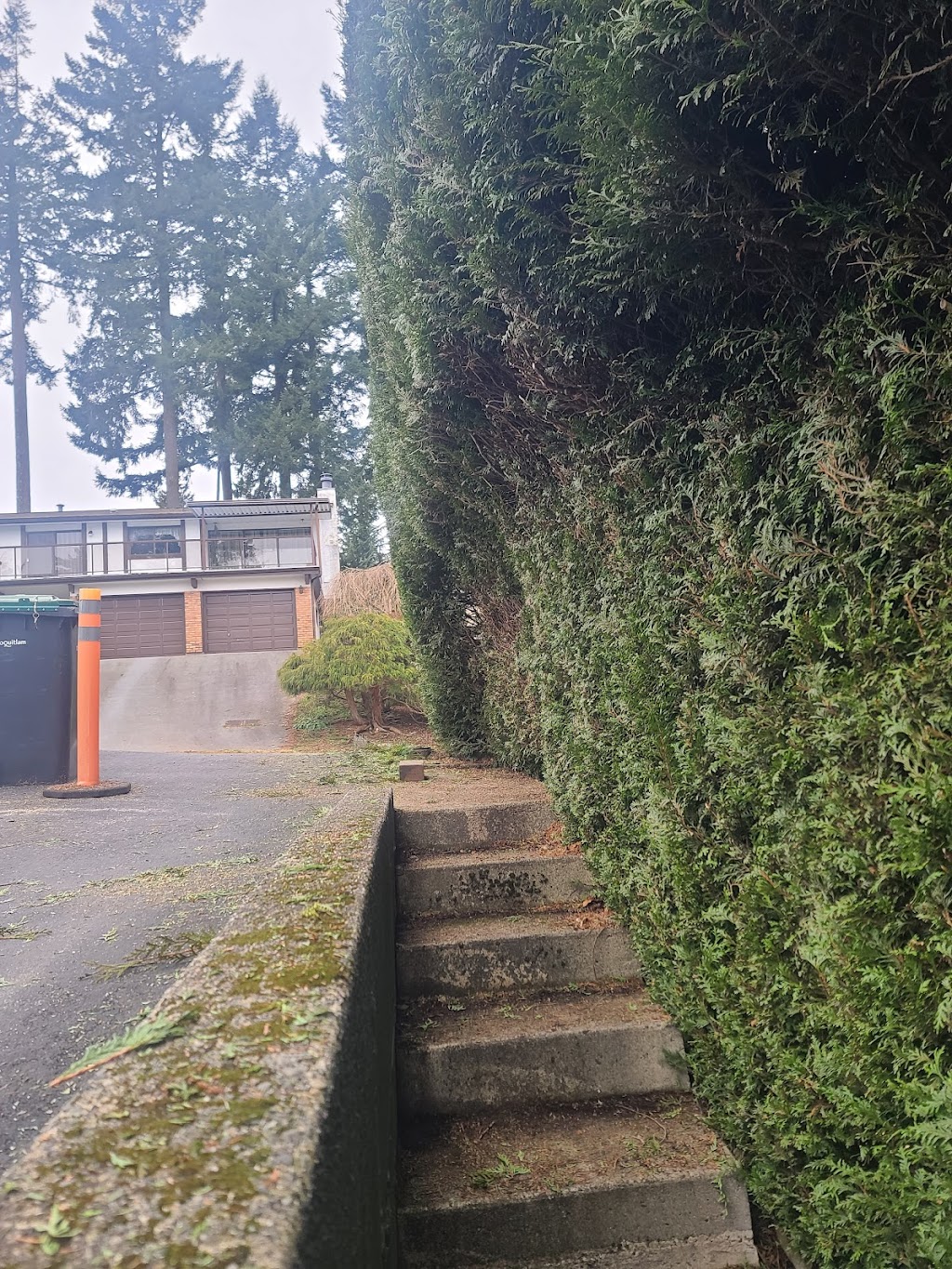 Roots & Connections Tree Service | 1572 Giles Pl, Burnaby, BC V5A 3K6, Canada | Phone: (604) 808-8733