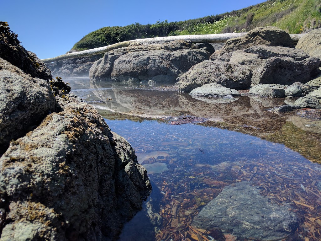 Eagle Cove Beach | 449 Eagle Cove Dr, Friday Harbor, WA 98250, USA