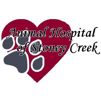 Animal Hospital Of Stoney Creek | 2804 King St E, Hamilton, ON L8G 1J5, Canada | Phone: (905) 662-3033