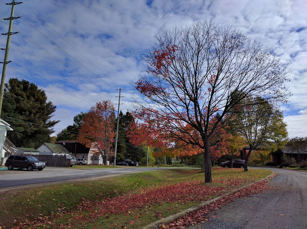 Jehovahs Witnesses Kingdon Hall | Cemetery Ln, Huntsville, ON P0A 1K0, Canada | Phone: (705) 789-5804