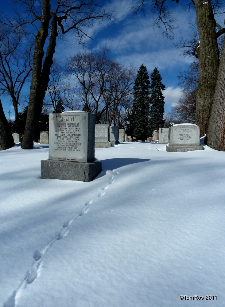 Park Lawn Cemetery, Mausoleum & Cremation Centre | 2845 Bloor St W, Etobicoke, ON M8X 1A6, Canada | Phone: (416) 233-9901