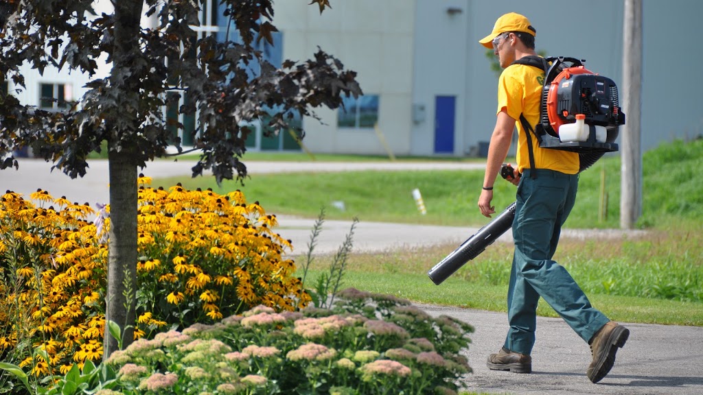 The Grounds Guys of Barrie | 39 Churchill Dr #3, Barrie, ON L4N 8Y2, Canada | Phone: (705) 990-1409