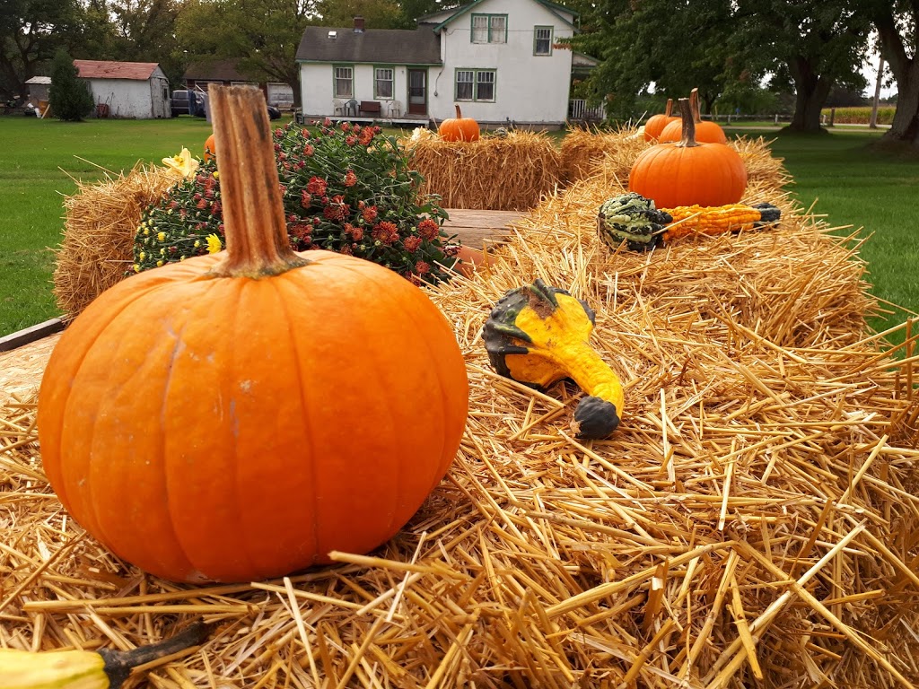 Joyce Farm Market | 15133-15139 Chatham-Kent County Rd 2, Bothwell, ON N0P 1C0, Canada | Phone: (519) 494-6561