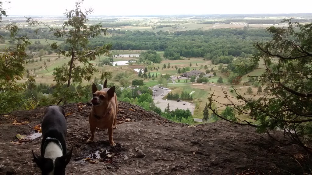 Mount Nemo Lookout | 4409 Side Rd 2, Burlington, ON L7R 3X4, Canada | Phone: (905) 319-2408