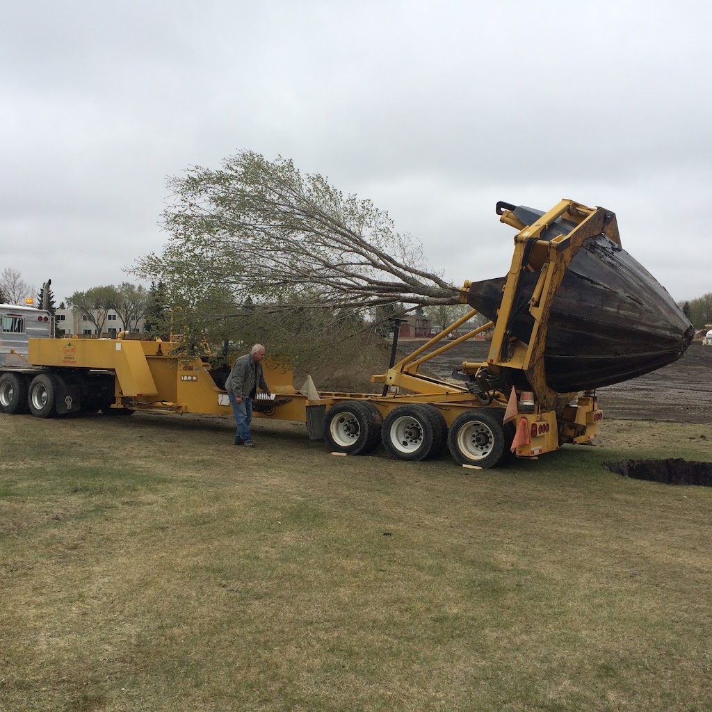 Spruce Hill Tree Movers Ltd | Township Rd 512, Sherwood Park, AB T8C 1H2, Canada | Phone: (780) 922-2030