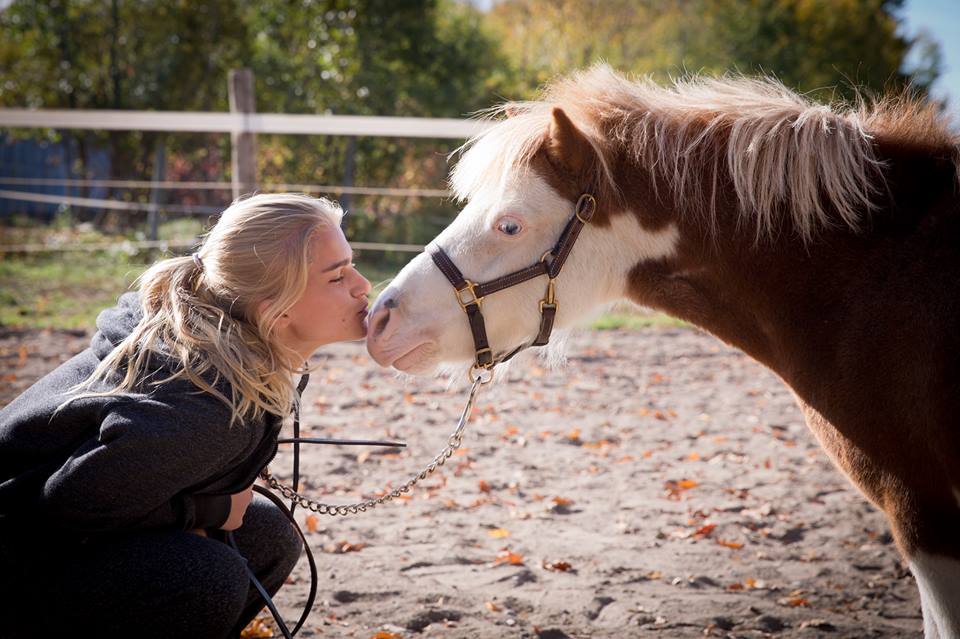 Harmony Hills Equestrian Centre | 2523 6th Line N Asphodel, Norwood, ON K0L 1V0, Canada | Phone: (705) 930-2788