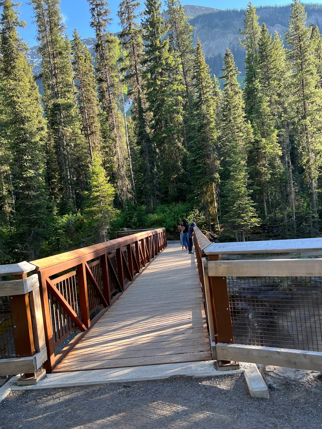 Numa Creek Trailhead | Kootenay National Park, East Kootenay G, BC V0A 1L0, Canada | Phone: (250) 347-9505