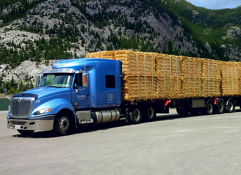 Essential Transport Inc. | 1718 Byland Rd Unit 6, West Kelowna, BC V1V 1A9, Canada | Phone: (778) 755-8120