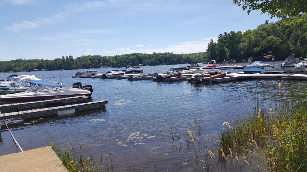 Anchorage Marina & Trailer Park | 1031 Jack Lake Rd, Apsley, ON K0L 1A0, Canada | Phone: (705) 656-4392