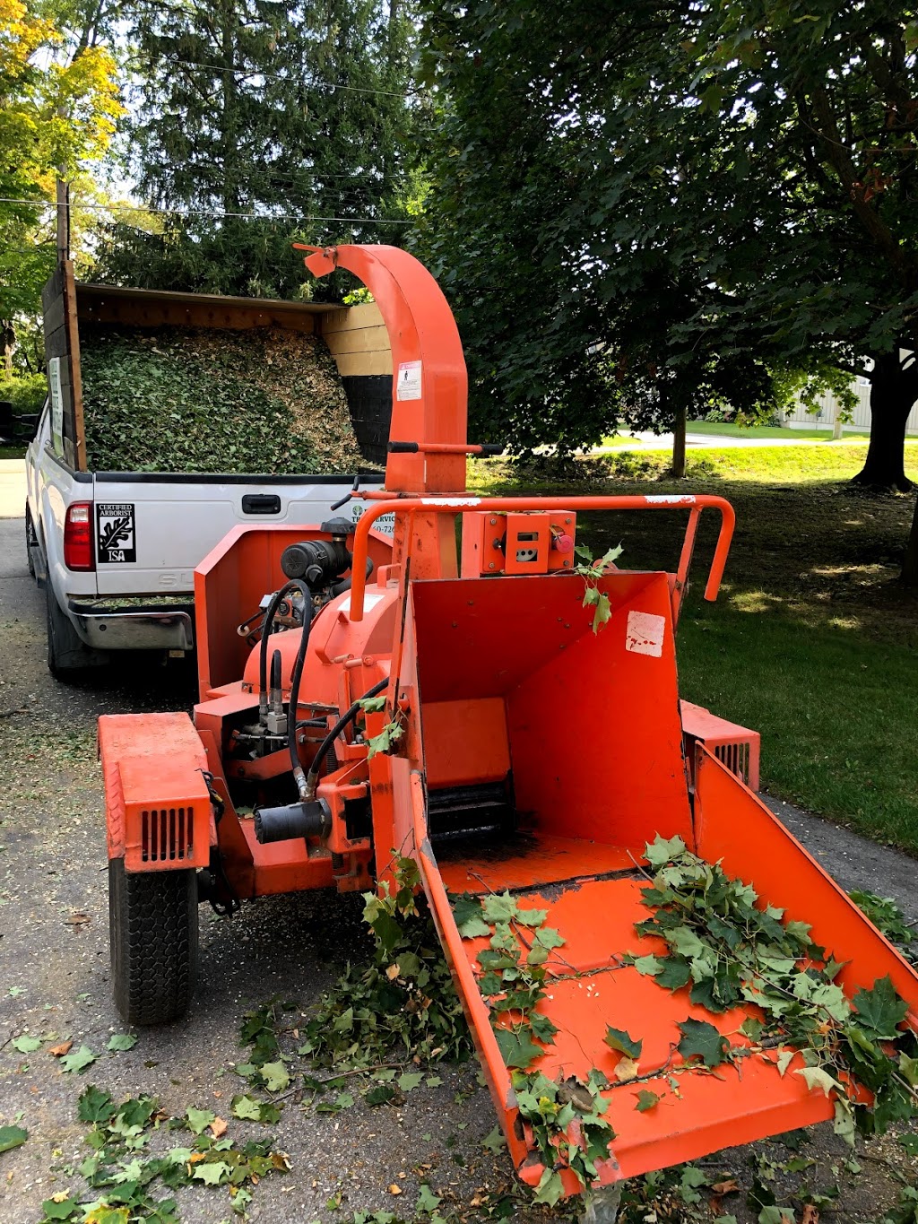 Francis Property and Tree Care | 2780 ON-35, Lindsay, ON K9V 4R4, Canada | Phone: (705) 241-9905