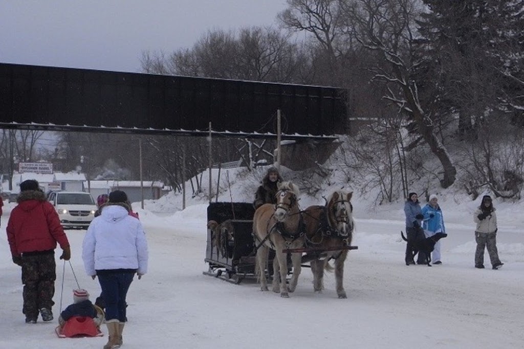 Marceau Guy | 190 5e Av, Sainte-Anne-de-la-Pérade, QC G0X 2J0, Canada | Phone: (418) 325-2187