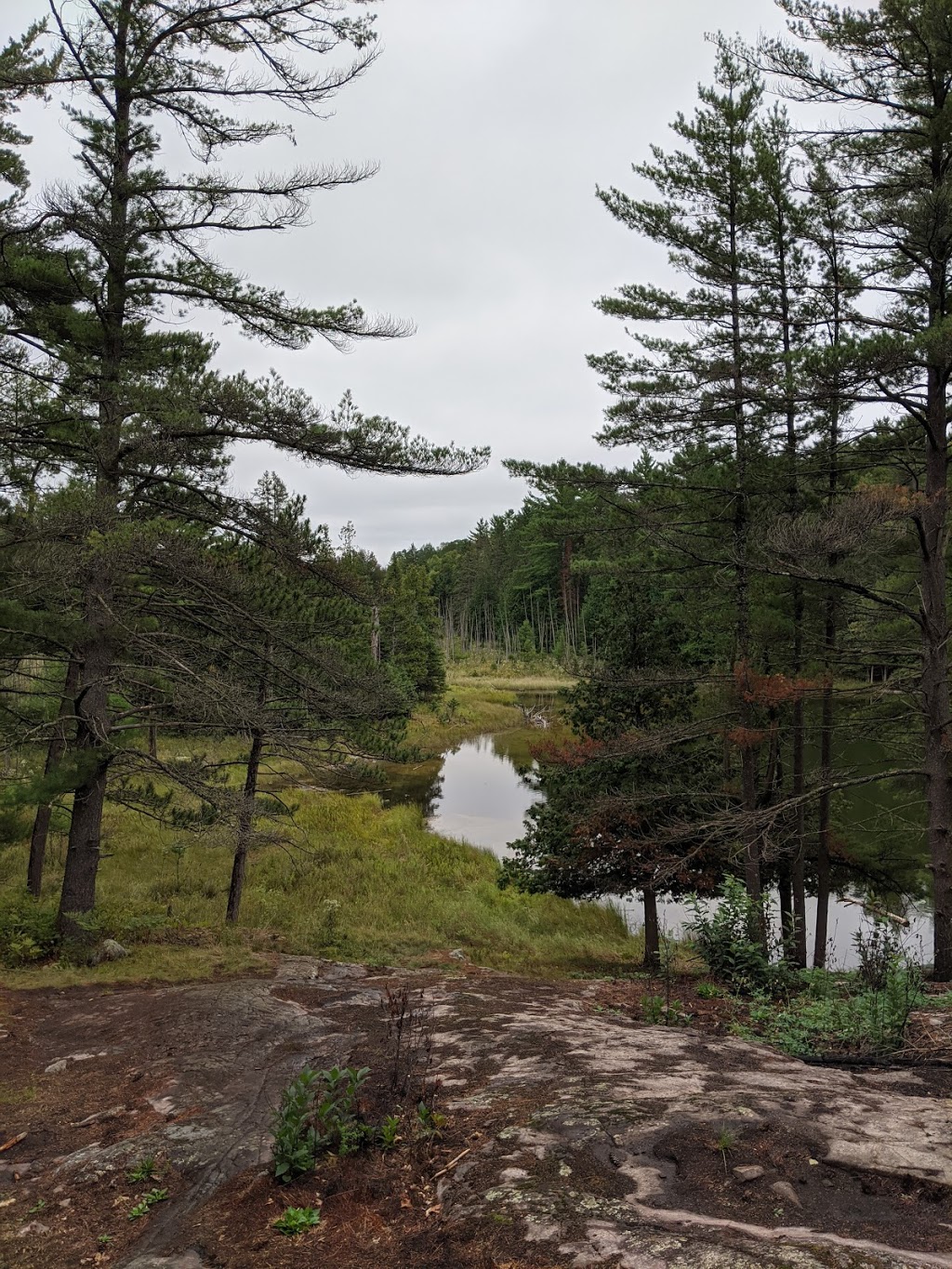 Petroglyphs Provincial Park | 2249 Northeys Bay Rd, Woodview, ON K0L 3E0, Canada | Phone: (705) 877-2552