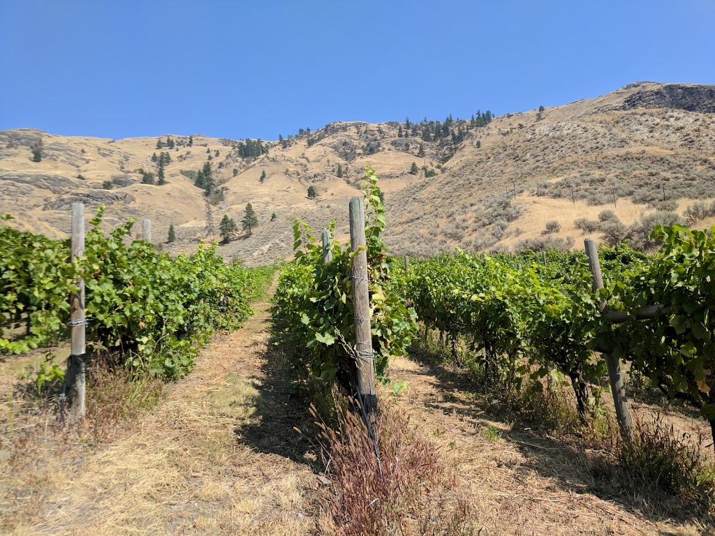 Sagewood Winery | 589 Meadow Lark Rd, Kamloops, BC V2H 1S9, Canada | Phone: (250) 573-1921