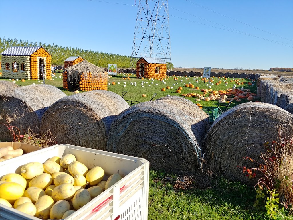 Ferme Benoit Vernier | 560 69e Avenue, Saint-Zotique, QC J0P 1Z0, Canada | Phone: (438) 700-6318