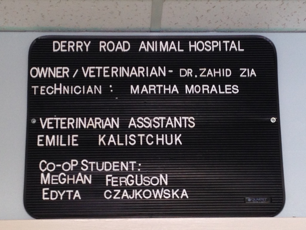 Derry Road Animal Hospital | 7025 Danton Promenade, Mississauga, ON L5N 5E5, Canada | Phone: (905) 824-5555