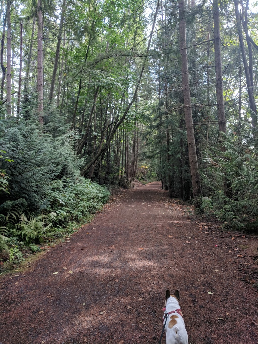 Entrance to the Delta Nature Reserve | Delta, BC V4C, Canada