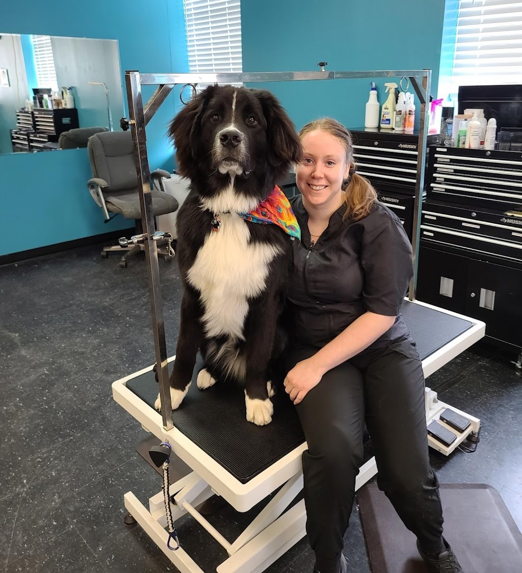 Brealey Drive Pet Spa | 1789 Stenson Blvd Unit 5, Peterborough, ON K9K 2H4, Canada | Phone: (705) 748-6262