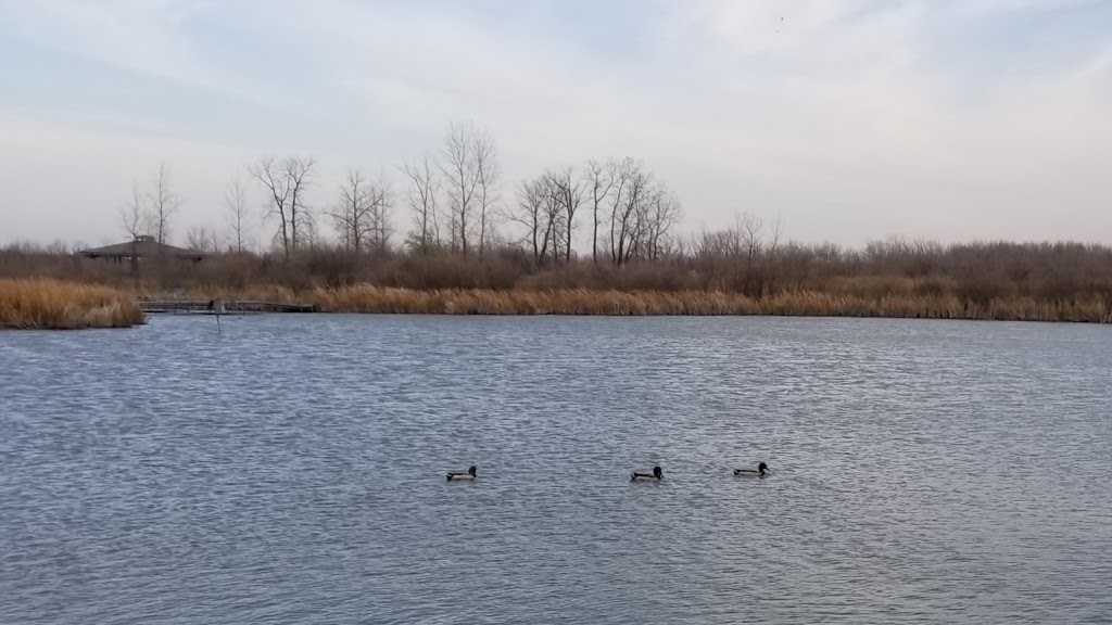 Wetland Boardwalk Trail | southwest, Winnipeg Ave, Winnipeg, MB R3P, Canada