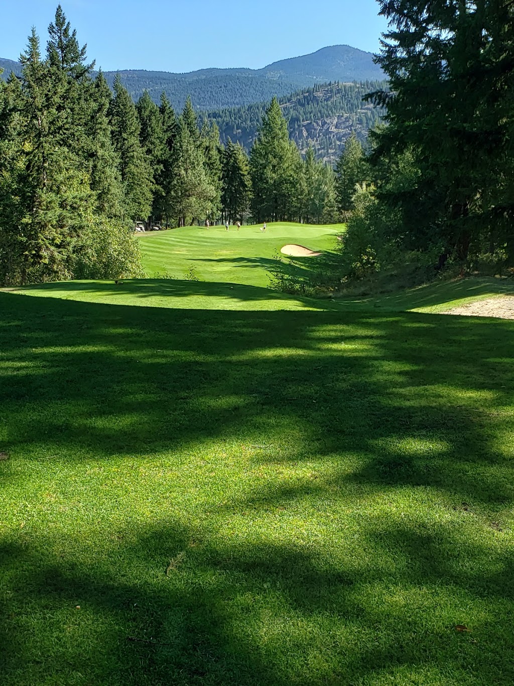 Chinook Cove Golf 19th Hole Restaurant | 5045, Boulder Mountain Rd, Little Fort, BC V0E 2C0, Canada | Phone: (888) 607-4653