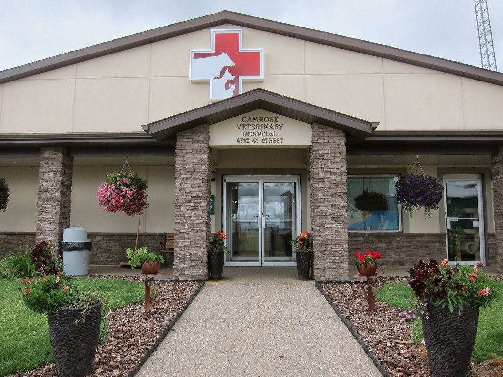 Camrose Veterinary Hospital | 4712 41 St, Camrose, AB T4V 0Z6, Canada | Phone: (780) 672-3171