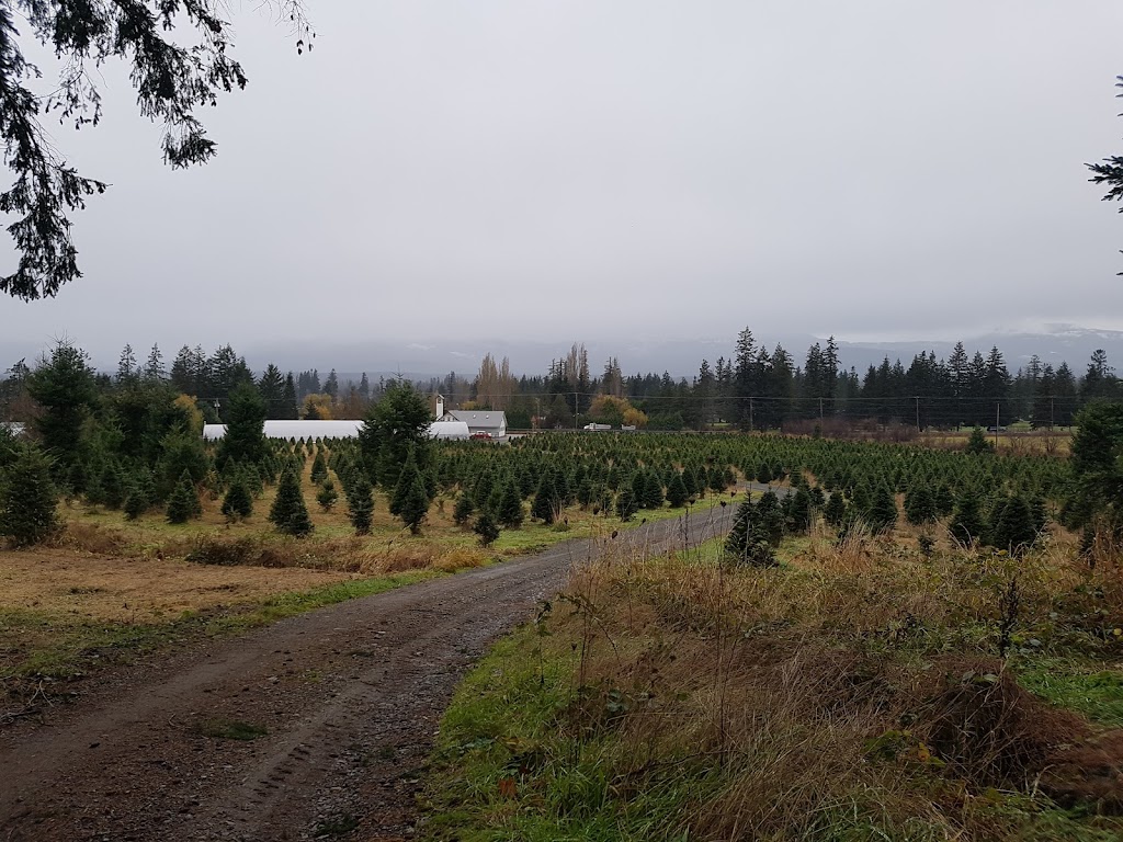 Mountain Ridge Tree Farms | 5228 N Island Hwy, Courtenay, BC V9J 1S7, Canada | Phone: (250) 338-0848