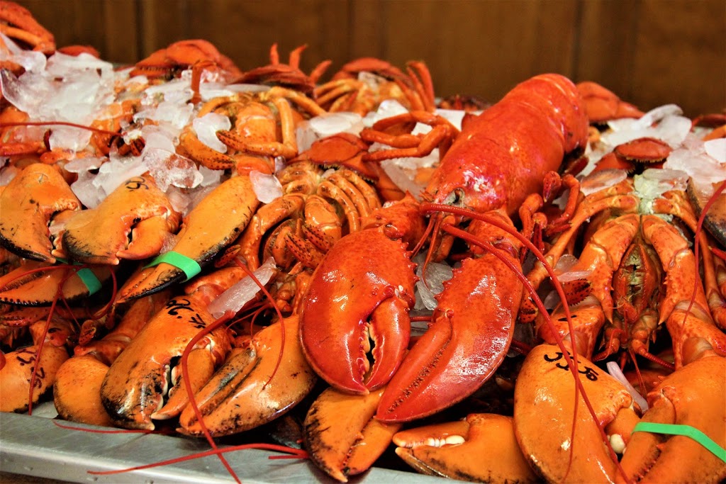 Alma Lobster Shop | 36 Shore Ln, Alma, NB E4H 1K4, Canada | Phone: (506) 887-1987