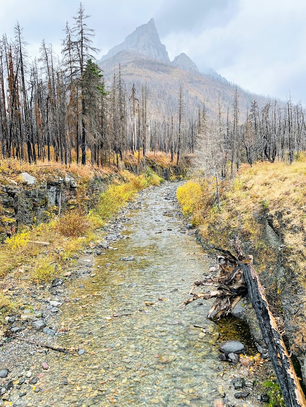 Cameron Lake day use area, Waterton Lakes National Park | national park, Waterton Park, AB T0K 2M0, Canada | Phone: (877) 737-3783