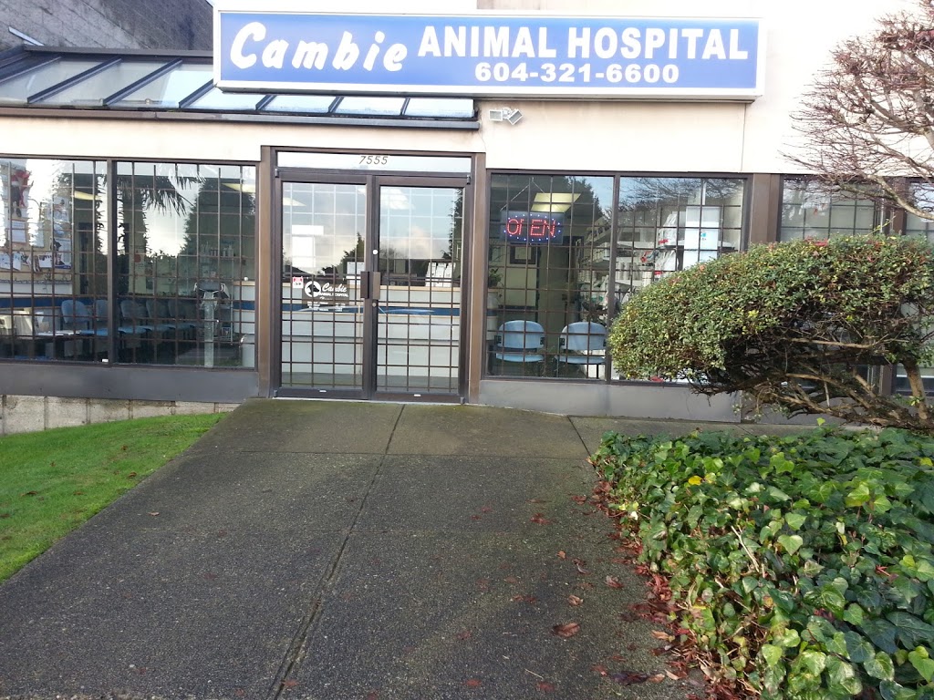 Cambie Animal Hospital | 7555 Cambie St, Vancouver, BC V6P 3H6, Canada | Phone: (604) 321-6600