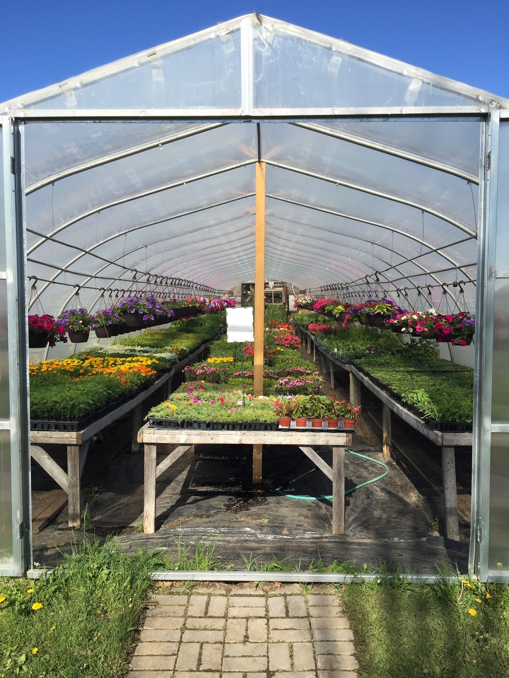 Grumpas Organic Greenhouses | 7871 Concession Rd 3, Lisle, ON L0M 1M0, Canada | Phone: (705) 424-9920