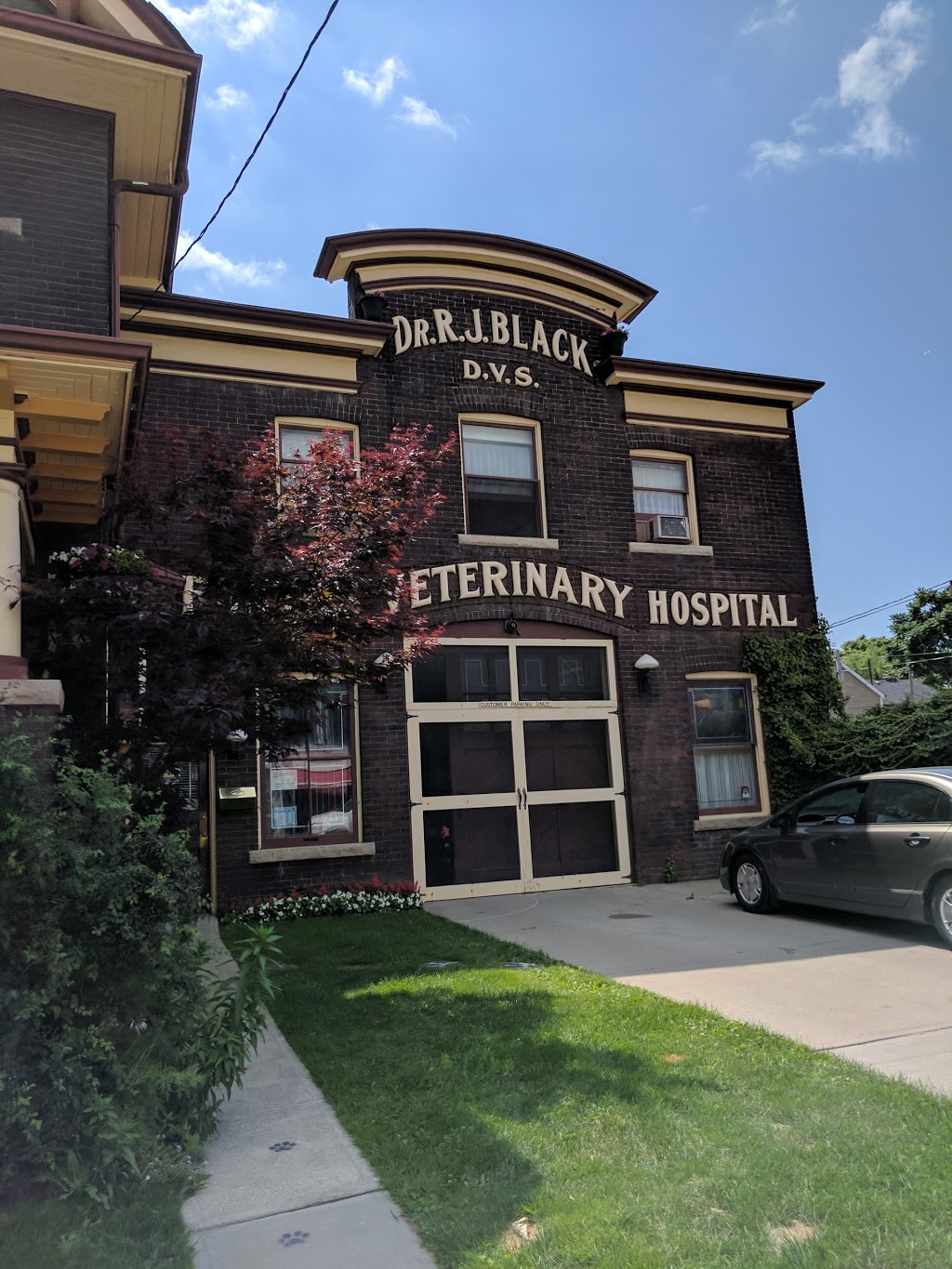 Blacks Toronto Veterinary Hospital | 923 Queen St E, Toronto, ON M4M 1J6, Canada | Phone: (416) 466-7351