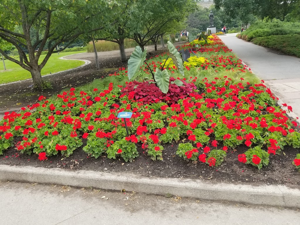 Confederation York Steps | Confederation Private, Ottawa, ON K1V, Canada