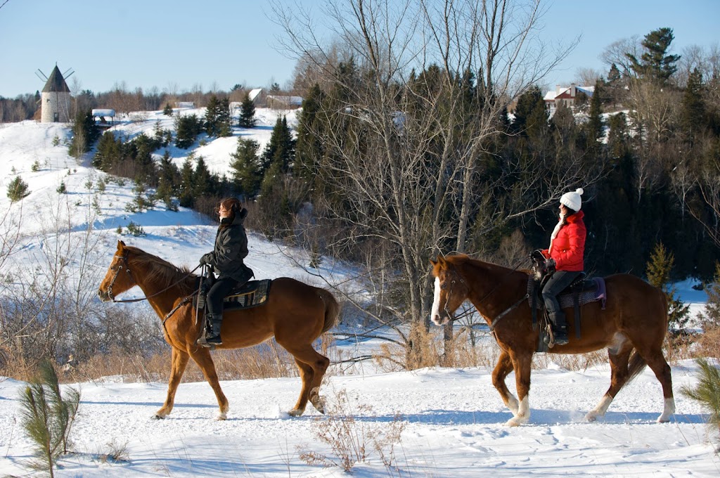 Écurie Le Baluchon | 3550 Chem. des Trembles, Saint-Paulin, QC J0K 3G0, Canada | Phone: (819) 268-2555