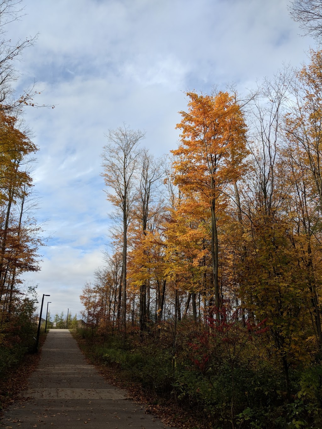 West-side Trails | 820 Columbia Forest Ct, Waterloo, ON N2V 2M6, Canada