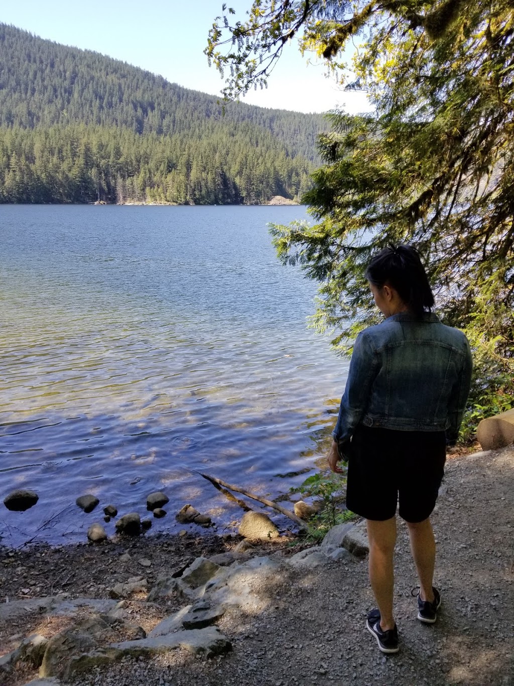 Buntzen Lake Dog Park | Anmore, BC V3H, Canada