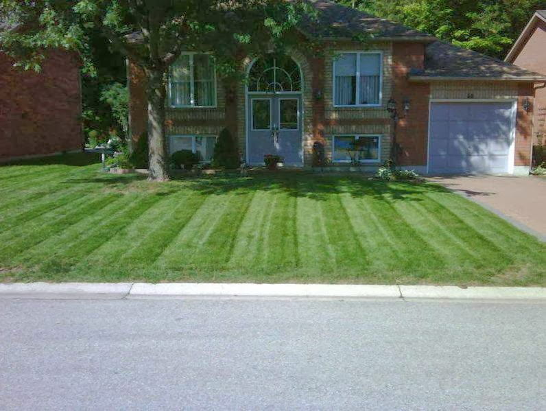 Property-Pros Wasaga beach Lawn Care | Wasaga Beach, ON L9Z 0B4, Canada | Phone: (705) 718-4541