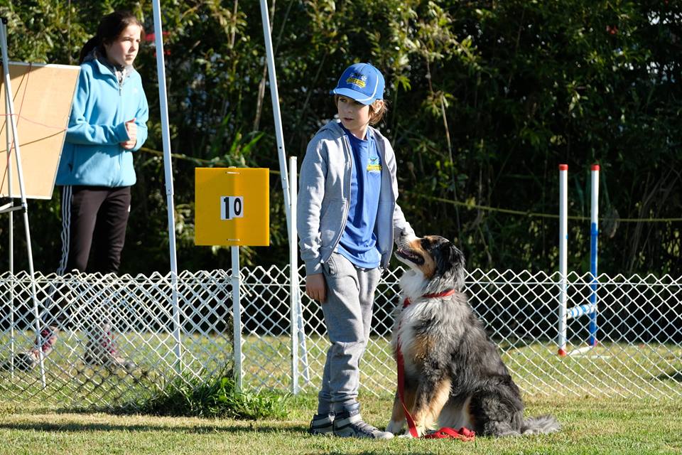 Professionnel Légitime Canin | 230 Rang de la Montagne, Rougemont, QC J0L 1M0, Canada | Phone: (514) 922-2752