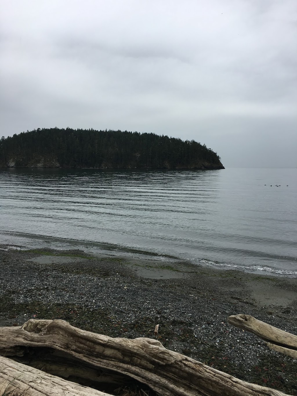 Bowman Bay, Deception Pass State Park | 41020 WA-20, Oak Harbor, WA 98277, USA | Phone: (360) 675-3767