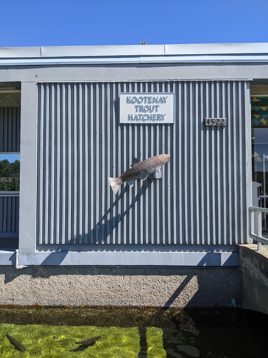 Kootenay Trout Hatchery & Visitor Centre | Fenwick Rd, Wardner, BC V0B 2J0, Canada | Phone: (250) 429-3214