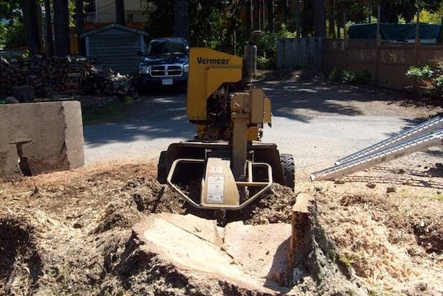 Vancouver Island Stump Grinding | 4526 Parry Cross Rd, Victoria, BC V9C 3W1, Canada | Phone: (250) 812-5439