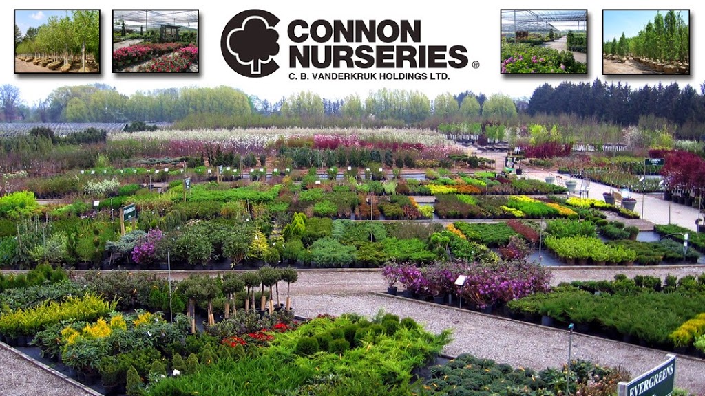 Connon Nurseries | 956A Old Highway #2, Trenton, ON K8V 5P5, Canada | Phone: (613) 392-0402