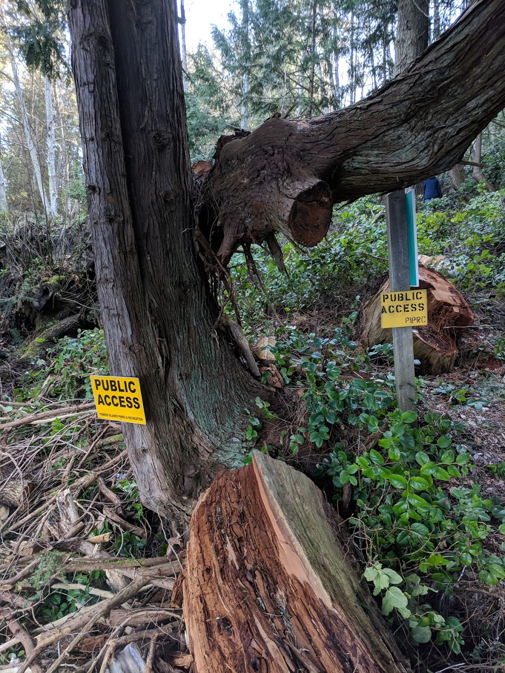 Walden Road Beach Access | 1108 Stanley Point Dr, Pender Island, BC V0N 2M1, Canada | Phone: (250) 360-3000