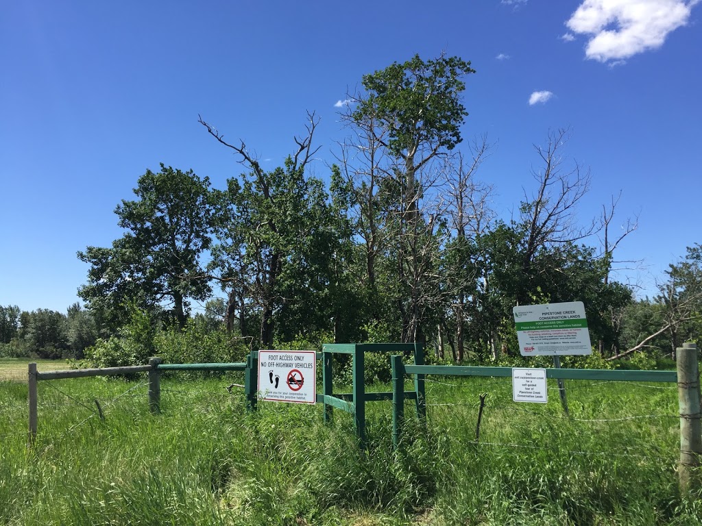 Pipestone Creek Conservation Lands | Range Rd 231A, Millet, AB T0C 1Z0, Canada